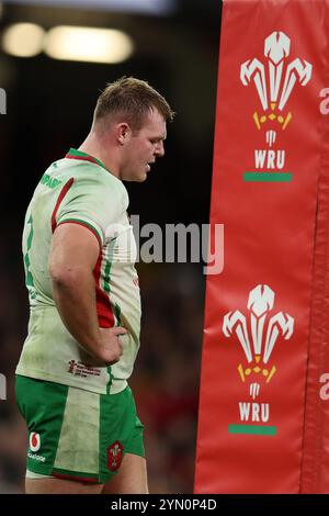 Cardiff, Royaume-Uni. 23 novembre 2024. Le lac Dewi du pays de Galles semble abattue. Pays de Galles v Afrique du Sud, match de la série Autumn Nations 2024 au Principality Stadium de Cardiff le samedi 23 novembre 2024. photo par Andrew Orchard/Andrew Orchard photographie sportive/ Alamy Live News crédit : Andrew Orchard photographie sportive/Alamy Live News Banque D'Images
