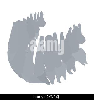 Types de silhouette dentaire. Diverses dents humaines avec racines, molaires, prémolaires, canines. Illustration vectorielle. Illustration de Vecteur