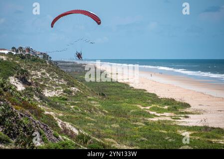 Parapente volant une aile paramotoring et rejoint par une longue lignée de pélicans le long de la côte au-dessus de Ponte Vedra Beach dans le nord-est de la Floride. (ÉTATS-UNIS) Banque D'Images