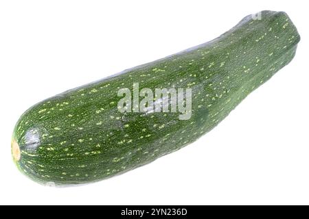 Courgette noir sur fond blanc. Isolated over white Banque D'Images