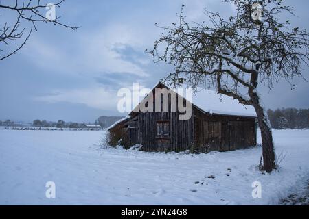 Konstanz, Hütte im Winter im Tägermoos *** Constance, cabane en hiver à Tägermoos Banque D'Images