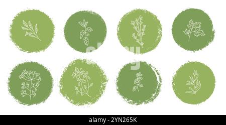 Set d'étiquettes d'herbes culinaires. Persil, thym basilic, menthe et badge origan. Illustration de collection de doodle dessinée à la main vectorielle isolée sur le dos blanc Illustration de Vecteur
