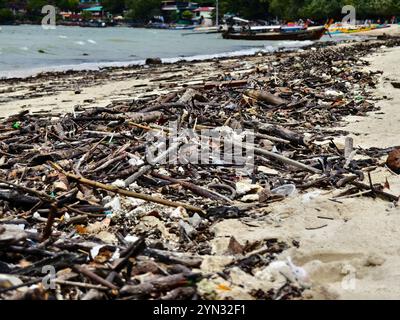 Une plage lourdement jonchée de bois et de plastique Banque D'Images