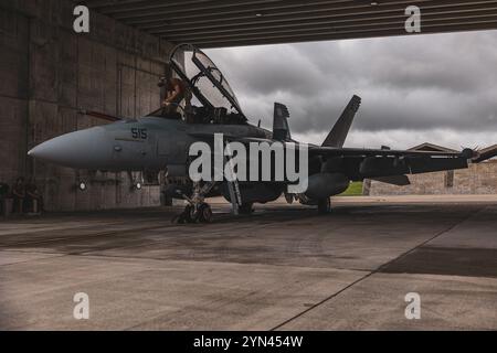 Le mécanicien de structure de l'aviation de l'US Navy, maître de 3e classe Oleksandr Mostovskyi avec l'escadron d'attaque électronique 138 (VAQ-138), inspecte un E/A-18G. Banque D'Images