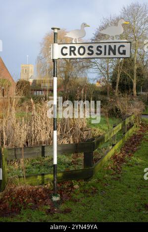 Traversée de canard sur la route dans le village de Ludham, Norfolk, Broads National Park Banque D'Images