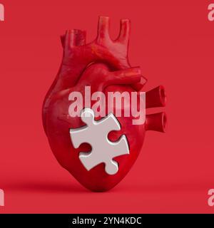 Organe interne d'anatomie de coeur humain avec pièce blanche de puzzle sur un fond rouge. Rendu 3D. Banque D'Images