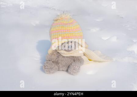 Perdu ours en peluche jouet assis sur la neige en hiver dans chapeau chaud ours en peluche. Asseyez-vous seul dans l'aire de jeux, jouet perdu ou concept de solitude, mis international Banque D'Images