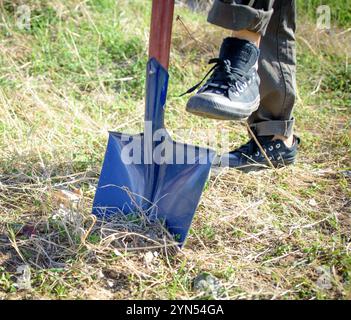 Une personne creuse dans le sol avec une pelle bleue, entourée de hautes herbes sous un ciel bleu clair. Banque D'Images