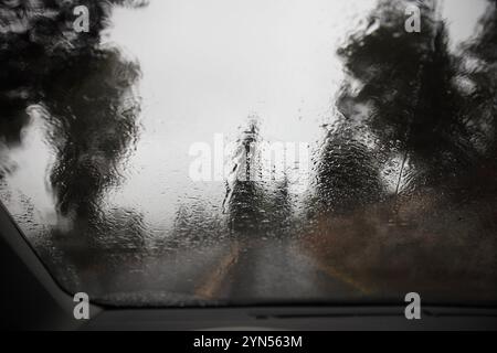 Les pins et les cyprès hors de la mise au point et une route de campagne humide lors d'une journée pluvieuse et brumeuse vue à travers les gouttes de pluie mises au point sur le pare-brise d'une voiture Banque D'Images