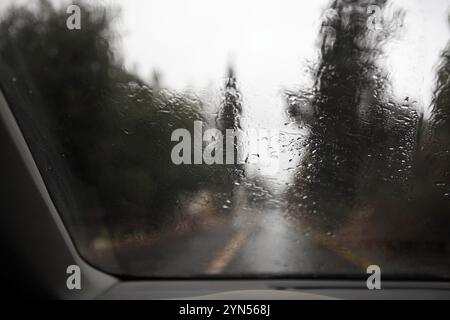 Les pins et les cyprès hors de la mise au point et une route de campagne humide lors d'une journée pluvieuse et brumeuse vue à travers les gouttes de pluie mises au point sur le pare-brise d'une voiture Banque D'Images