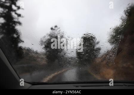 Les pins et les cyprès hors de la mise au point et une route de campagne humide lors d'une journée pluvieuse et brumeuse vue à travers les gouttes de pluie mises au point sur le pare-brise d'une voiture Banque D'Images