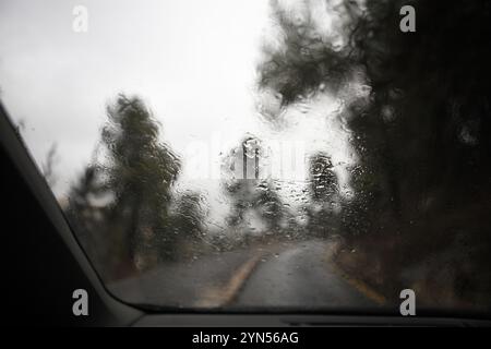 Les pins et les cyprès hors de la mise au point et une route de campagne humide lors d'une journée pluvieuse et brumeuse vue à travers les gouttes de pluie mises au point sur le pare-brise d'une voiture Banque D'Images