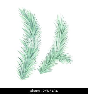 Ensemble aquarelle de branche d'épicéa de Noël. Arbre à feuilles persistantes, sapin, cèdre. Plantes vertes d'hiver, décoration de vacances Banque D'Images