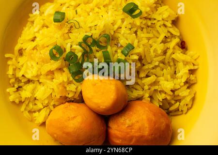 Goiania, Goias, Brésil – 24 novembre 2024 : Super gros plan sur une assiette jaune avec du riz au pequi. Nourriture typique de Goias. Banque D'Images
