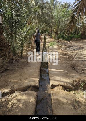 Promenade dans le jardin d'Igrane près de Merzouga, une oasis agricole typique avec de petits canaux, Maroc, Afrique Banque D'Images