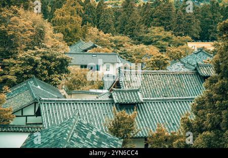 Vue d'en haut avec toits japonais traditionnels. Banque D'Images