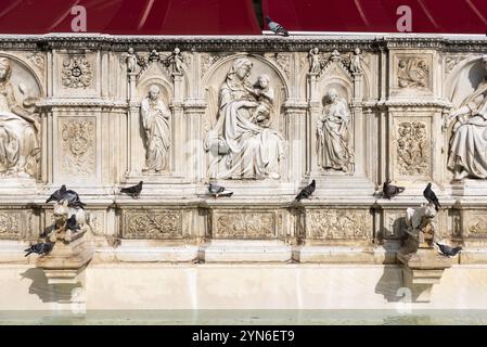 Colombes assises sur la fontaine de Gaia sur la Piazza del Campo à Sienne, Italie, Europe Banque D'Images