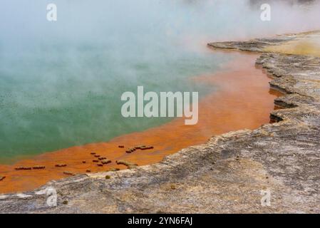 Merveilles naturelles à Waiotapu Thermal Wonderland, Rotorua en Nouvelle-Zélande Banque D'Images