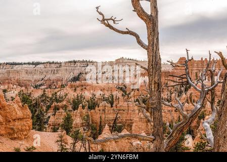 Rochers pittoresques du Navajo Loop Trail menant à Bryce Canyon, États-Unis, Amérique du Nord Banque D'Images