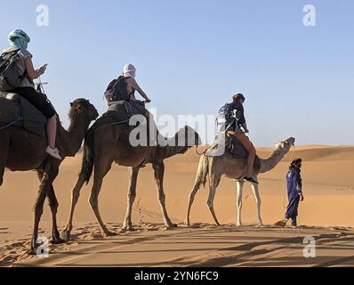 Une caravane de dromadaires passant le désert du Sahara dans la soirée, Erg Chebbi au Maroc Banque D'Images