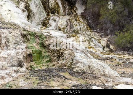 Merveilles naturelles à Waiotapu Thermal Wonderland, Rotorua en Nouvelle-Zélande Banque D'Images