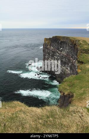 Falaises de Latrabjarg dans les Westfjords, un célèbre lieu d'élevage d'oiseaux en Islande Banque D'Images