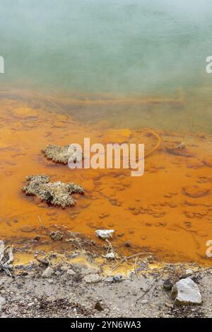 Merveilles naturelles à Waiotapu Thermal Wonderland, Rotorua en Nouvelle-Zélande Banque D'Images