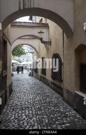 Petite ruelle menant au marché aux poissons dans le centre de Ljubljana, Slovénie, Europe Banque D'Images
