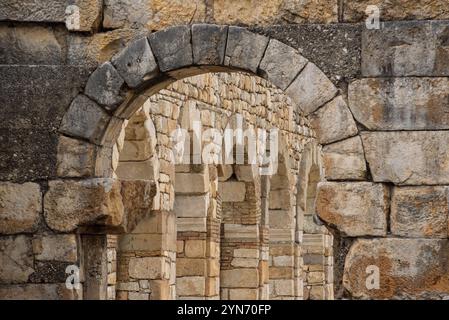 Les ruines emblématiques du forum à Volubilis, une ancienne ville romaine au Maroc, en Afrique du Nord Banque D'Images