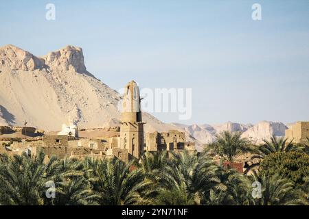 Ancien village abandonné el-Qasr dans l'oasis de Dakhla, palmiers à l'avant, Egypte, Afrique Banque D'Images