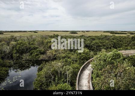 Vue depuis les Everglades, vue du sommet de la tour d'observation de Shark Valley en Floride, USA, Amérique du Nord Banque D'Images