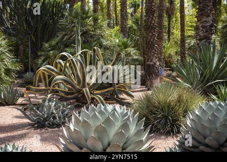 Parc paisible dans la Nouvelle ville de Marrakech, Maroc, Afrique Banque D'Images