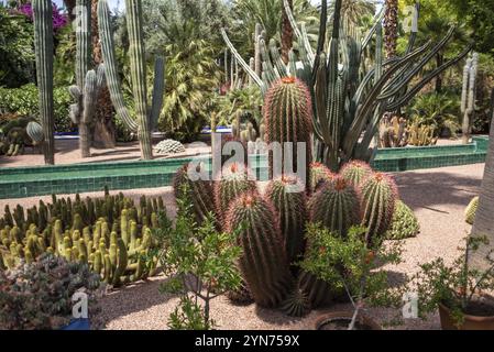 Parc paisible dans la Nouvelle ville de Marrakech, Maroc, Afrique Banque D'Images