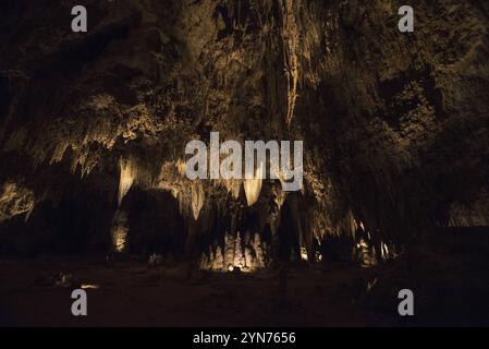 Grotte pittoresque illuminée dans le parc national de Carlsbad Caverns, États-Unis, Amérique du Nord Banque D'Images