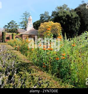 Tour de l'horloge vue depuis le jardin encastré avec feuillage d'automne / automne et fleurs fleuries à Filoli Historic House and Garden, Woodside, Californie. Banque D'Images