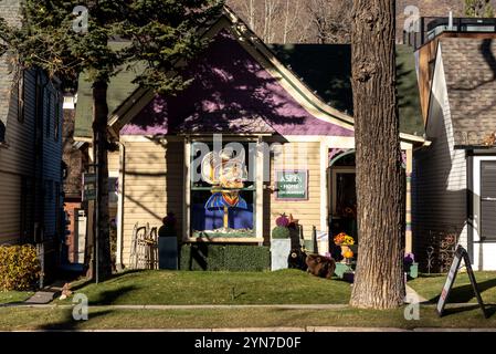Extérieur du magasin Aspen Home consignation, un magasin qui vend des meubles usagés, situé sur main Street à Aspen, Colorado, États-Unis. Banque D'Images