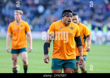 Édimbourg, Écosse. 24 novembre 2024. Allan Alaalatoa se réchauffe pour le célèbre match Grouse Nations Series entre l'Écosse et l'Australie au Scottish Gas Murrayfield Stadium, à Édimbourg. Crédit : Connor Douglas/Alamy Live News Banque D'Images