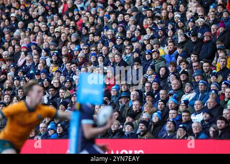 Édimbourg, Écosse. 24 novembre 2024. Les fans regardent le célèbre match de Grouse Nations Series entre l'Écosse et l'Australie au Scottish Gas Murrayfield Stadium, à Édimbourg. Crédit : Connor Douglas/Alamy Live News Banque D'Images