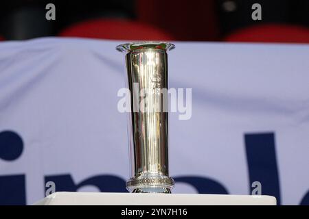 Oslo, Norvège. 24 novembre 2024. Oslo, Norvège, 24 novembre 2024 : le trophée est vu avant la finale du championnat de Norvège entre Valerenga et Rosenborg au stade Ullevaal à Oslo, Norvège (Ane Frosaker/SPP) crédit : SPP Sport Press photo. /Alamy Live News Banque D'Images