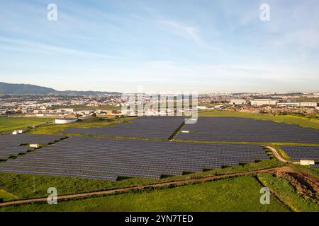 Vue aérienne drone de panneaux solaires sur champ agricole pendant la journée ensoleillée. Le paysage est entièrement équipé de générateurs d'énergie renouvelable verts. Banque D'Images