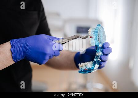 Dentiste démontrant l'extraction dentaire sur un modèle de mâchoire transparent à des fins de formation dentaire Banque D'Images