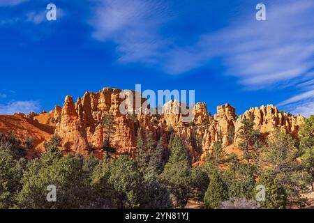 Ceci est une vue des superbes formations rocheuses rouges sur le côté nord de Red Canyon à l'est de Panguitch, Garfield, comté, Utah, États-Unis. Banque D'Images