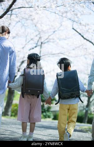 Vue arrière d'une famille heureuse marchant sous les cerisiers en fleurs se tenant par la main Banque D'Images