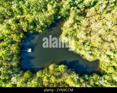 Vue aérienne du lac forestier sauvage Banque D'Images