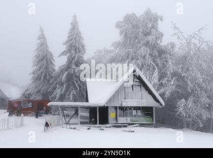 Paysage d'hiver fantastique avec maison en bois lumineux sur fond de lumières de ville dans le brouillard. Chalet confortable dans les montagnes Carpathian. Noël Banque D'Images