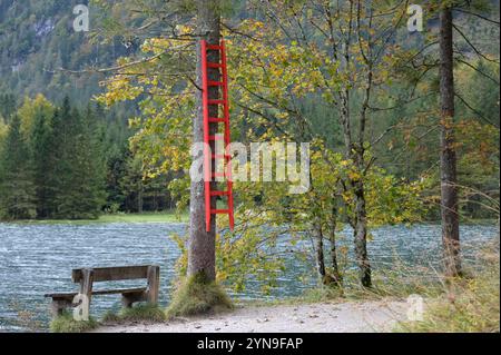 Wanderung rund um den Offensee, im oberösterreichischen Salzkammergut, AM 29.09.2024. DAS Bild zeigt eine Sitzbank am Ufer des offensees und eine rote, an einem Baum aufgehängte Rettungsleiter, die dafür verwendet wird, am, im Winter, im Eis des offensees eingebrochene Personen, mehr oder weniger gefahrlos retten zu können. 2024 - Wanderung rund um den Offensee, im oberösterreichischen Salzkammergut, AM 29.09.2024. *** Randonnée autour de l'Offensee, dans le Salzkammergut de haute-Autriche, le 29 09 2024 la photo montre un banc sur la rive de l'Offensee et une échelle de sauvetage rouge suspendue à un arbre Banque D'Images