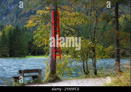 Wanderung rund um den Offensee, im oberösterreichischen Salzkammergut, AM 29.09.2024. DAS Bild zeigt eine Sitzbank am Ufer des offensees und eine rote, an einem Baum aufgehängte Rettungsleiter, die dafür verwendet wird, am, im Winter, im Eis des offensees eingebrochene Personen, mehr oder weniger gefahrlos retten zu können. 2024 - Wanderung rund um den Offensee, im oberösterreichischen Salzkammergut, AM 29.09.2024. *** Randonnée autour de l'Offensee, dans le Salzkammergut de haute-Autriche, le 29 09 2024 la photo montre un banc sur la rive de l'Offensee et une échelle de sauvetage rouge suspendue à un arbre Banque D'Images