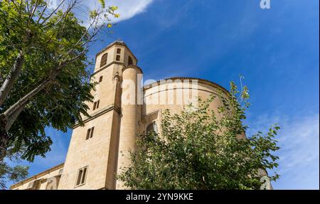 Chapelle sacrée du Sauveur à Ubeda, Espagne. Un grand bâtiment brun avec une grande tour et un arbre vert devant elle. Le ciel est clair et bleu Banque D'Images