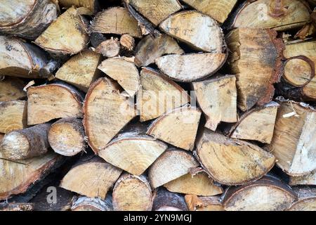 Pile de bois de chauffage de bouleau avec bloc de coupe à la main. Bois de chauffage haché pour l'hiver. Beaucoup de bois de chauffage - récolte de bois pour chauffer la maison. Pho. Horizontale Banque D'Images