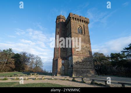 Leith Hill Tower, vue du monument du Surrey un matin d'hiver, Angleterre, Royaume-Uni Banque D'Images